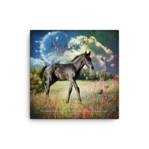 Moon Dancer 1  Art Canvas