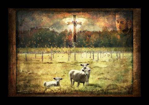 LCP "Sheep Herder" Canvas Print