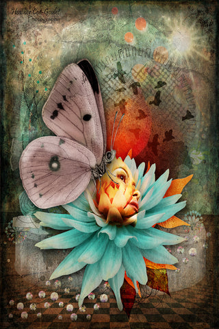 LCP "Flower Lady"