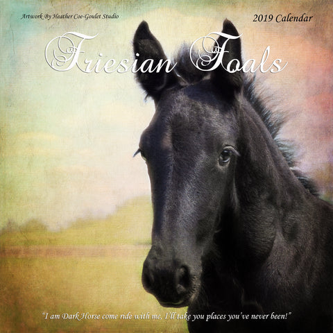 Friesian Foals Horse Wall Calendar 2019